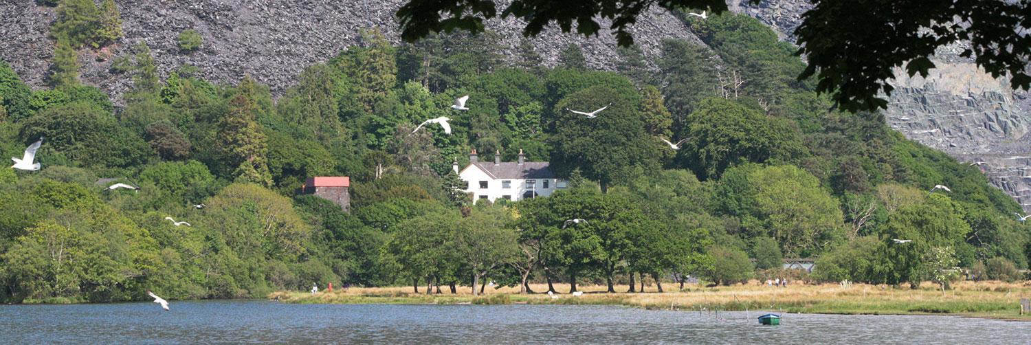Padarn Apartment At Glanybala Holidays Llanberis Eksteriør bilde